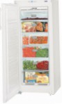 Liebherr GNP 2313 Frigorífico congelador-armário