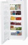 Liebherr GP 3013 Fridge freezer-cupboard