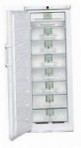Liebherr GSNP 3326 Buzdolabı 