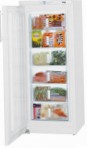 Liebherr G 2433 冷蔵庫 冷凍庫、食器棚
