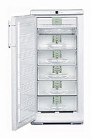 Charakteristik Kühlschrank Liebherr GN 2413 Foto