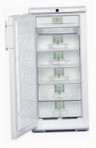 Liebherr GN 2413 Buzdolabı dondurucu dolap