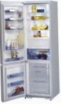 Gorenje RK 67365 SA Hladilnik hladilnik z zamrzovalnikom