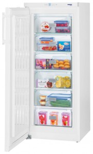 Charakteristik Kühlschrank Liebherr GP 2433 Foto