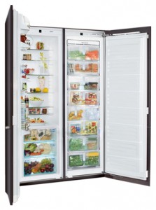 Charakteristik Kühlschrank Liebherr SBS 61I4 Foto