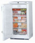 Liebherr GSN 2026 Frigo freezer armadio