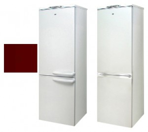 Charakteristik Kühlschrank Exqvisit 291-1-3005 Foto
