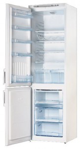 katangian Refrigerator Swizer DRF-110 larawan