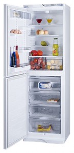 katangian Refrigerator ATLANT МХМ 1848-37 larawan