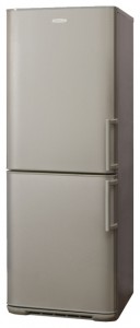 Charakteristik Kühlschrank Бирюса M133 KLA Foto