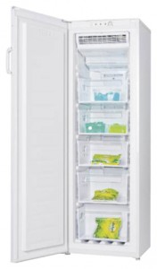 Характеристики Холодильник LGEN TM-169 FNFW фото