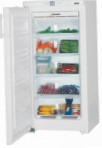 Liebherr GNP 1956 Холодильник морозильний-шафа
