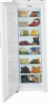 Liebherr GNP 4156 Køleskab fryser-skab
