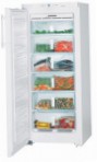 Liebherr GN 2356 冷蔵庫 冷凍庫、食器棚
