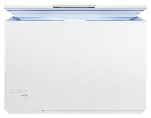 özellikleri Buzdolabı Electrolux EC 2233 AOW fotoğraf