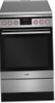 Hansa FCCX58245 Kitchen Stove, type of oven: electric, type of hob: electric