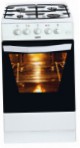Hansa FCGW57001030 Kitchen Stove, type of oven: gas, type of hob: gas