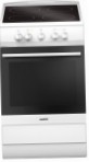 Hansa FCCW53004 Kitchen Stove, type of oven: electric, type of hob: electric