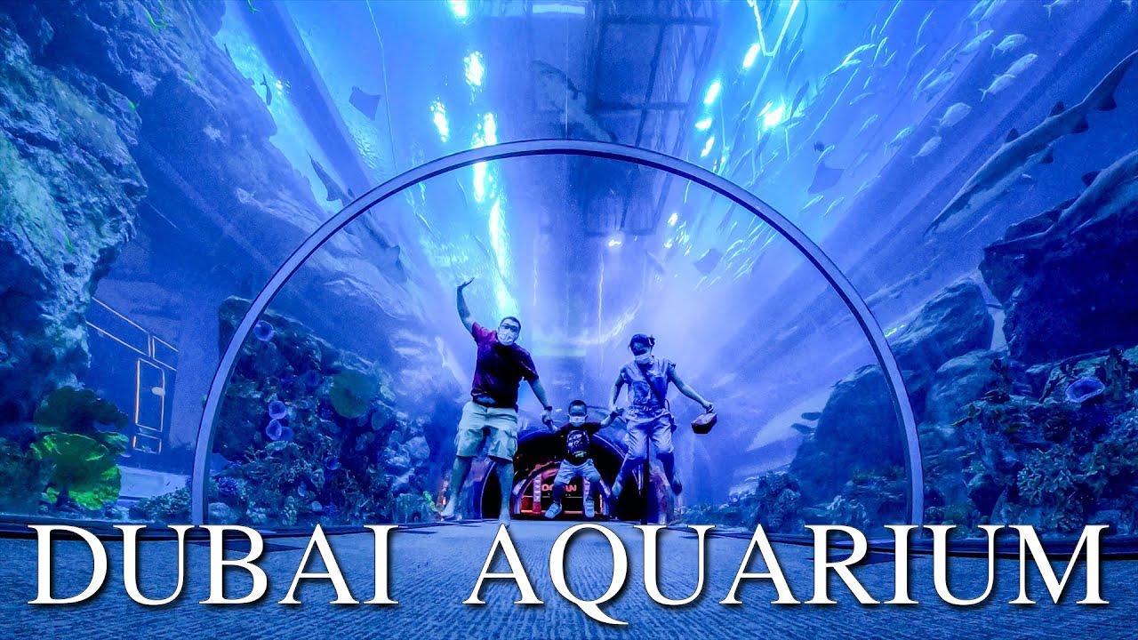 Dubai Aquarium & Underwater Zoo 50 AED Gift Card AE, $16.02