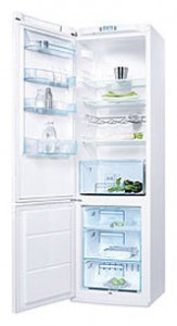 Charakteristik Kühlschrank Electrolux ERB 40402 W Foto