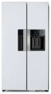đặc điểm Tủ lạnh Whirlpool WSG 5556 A+W ảnh