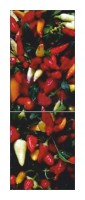 Характеристики Холодильник Snaige RF34SM-S10021 34-26 фото