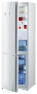 Charakteristik Kühlschrank Gorenje RK 67325 W Foto