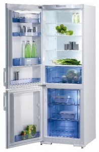 katangian Refrigerator Gorenje RK 61340 W larawan