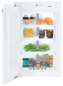 χαρακτηριστικά Ψυγείο Liebherr IGN 1654 φωτογραφία