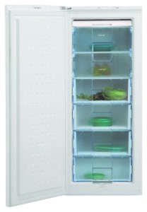 katangian Refrigerator BEKO FSA 21300 larawan