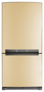 ลักษณะเฉพาะ ตู้เย็น Samsung RL-62 ZBVB รูปถ่าย