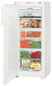 katangian Refrigerator Liebherr GNP 2313 larawan