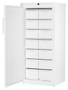 Charakteristik Kühlschrank Liebherr G 5216 Foto