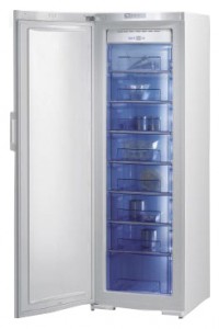 đặc điểm Tủ lạnh Gorenje FN 61230 DW ảnh