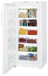 Charakteristik Kühlschrank Liebherr GP 3013 Foto