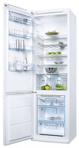 özellikleri Buzdolabı Electrolux ENB 38000 W fotoğraf