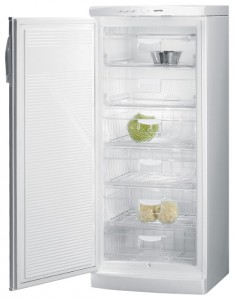 özellikleri Buzdolabı Gorenje F 6248 W fotoğraf