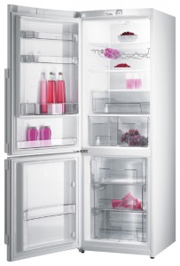 Характеристики Холодильник Gorenje RK 65 SYW фото
