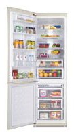Charakteristik Kühlschrank Samsung RL-52 VEBVB Foto
