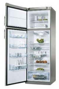 Charakteristik Kühlschrank Electrolux END 32321 X Foto