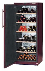 Charakteristik Kühlschrank Liebherr WT 4176 Foto