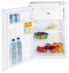 katangian Refrigerator Indesit TFAA 10 larawan