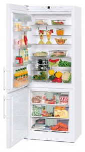 Характеристики Холодильник Liebherr CN 5013 фото