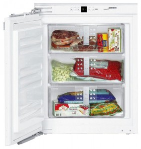 χαρακτηριστικά Ψυγείο Liebherr IG 956 φωτογραφία