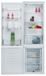 Charakteristik Kühlschrank Candy CFBC 3150 A Foto