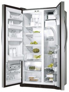 Charakteristik Kühlschrank Electrolux ERL 6296 XX Foto