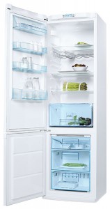 özellikleri Buzdolabı Electrolux ENB 38400 fotoğraf