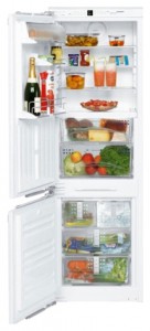 Charakteristik Kühlschrank Liebherr ICB 3066 Foto