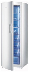 đặc điểm Tủ lạnh Gorenje F 60308 DW ảnh
