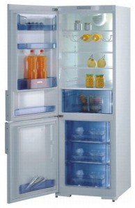 đặc điểm Tủ lạnh Gorenje RK 61341 W ảnh